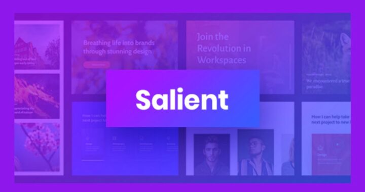 Salient | Creative Multipurpose & WooCommerce Theme v16.4.0 Nulled Free Download